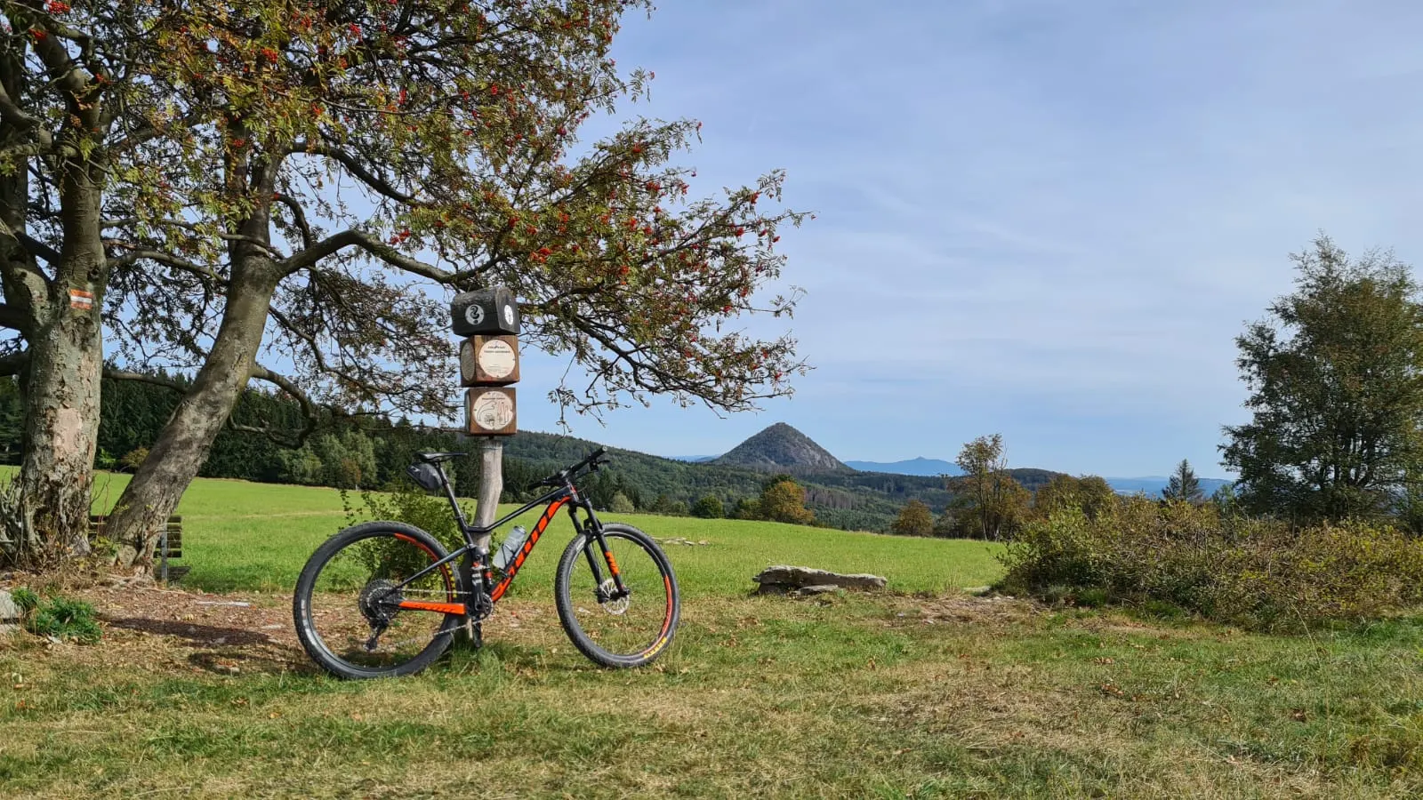 Mountain bike in a meadow with a view