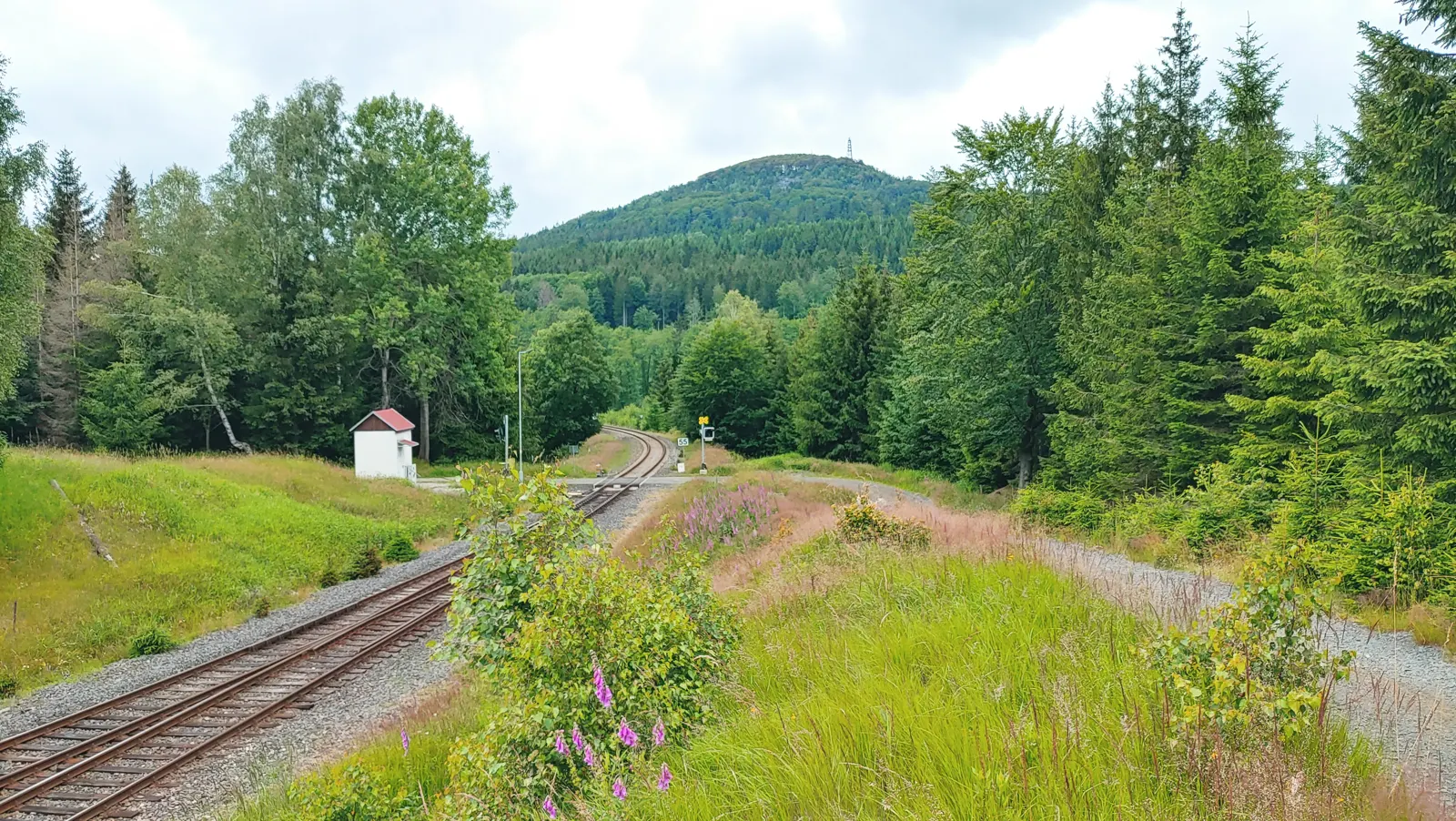 Summer landscape with a local railway line