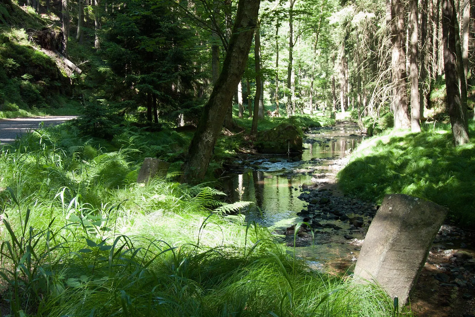 Kyjov valley