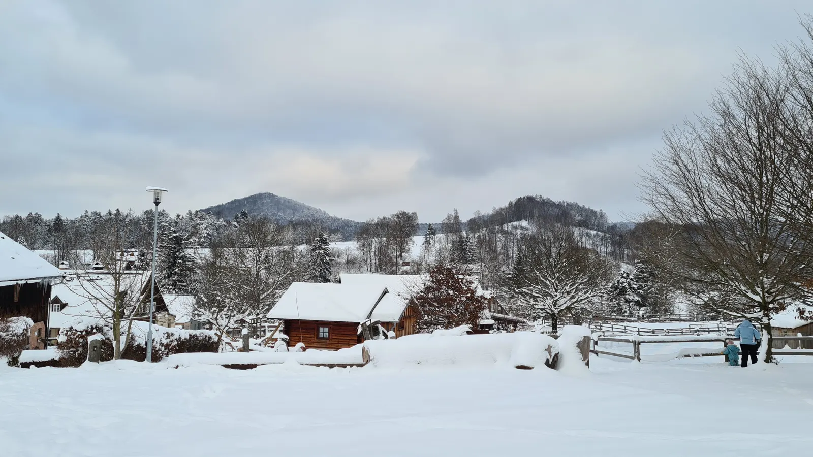 Snowy landscape around Dolní Chřibská